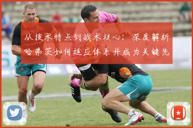 从技术特点到战术核心：深度解析哈弗茨如何适应体系并成为关键先生